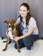 Director of Medical Personnel, Licensed Veterinary Technician - Melody, L.V.T.