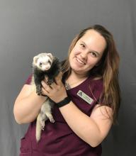 Veterinary Assistant - Rebecca